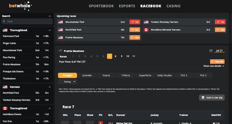 A screenshot of BetWhale, one of the best online Derby betting apps.